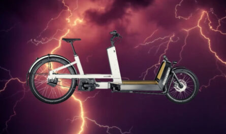 bicis electricas carga